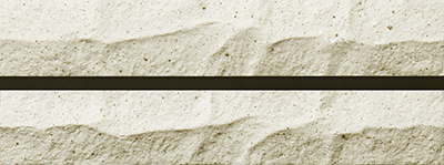 TCK-02H