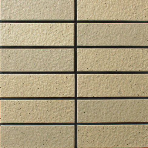 TC/EPK-01AB<br>A（3.9Y 7.0/1.3）<br>B（2.5Y 6.8/1.6）