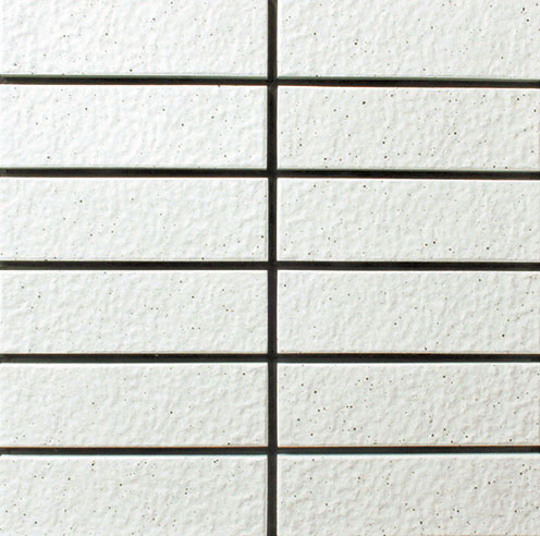 TC/EPK-81<br>（0.1GY 8.6/0.2）