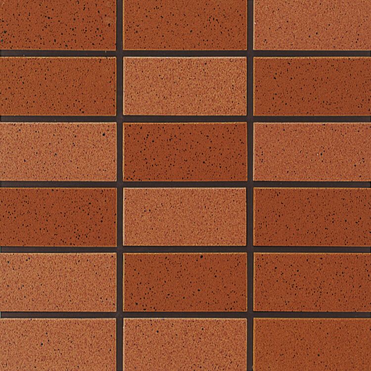 TC/SW-94.95<br>95 淡（8.2R 4.6/6.3）<br> 94 濃（7.6R 4.2/5.9）