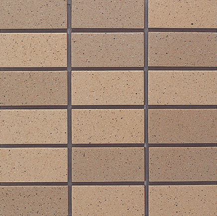 TC/TR-02AB<br>A（5.2YR 6.0/2.4）<br>B（4.6YR 5.3/2.1）