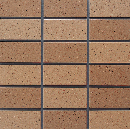 TC/TR-19AB<br>A（4.3YR 5.1/3.1）<br>B（3.6YR 4.7/3.3）